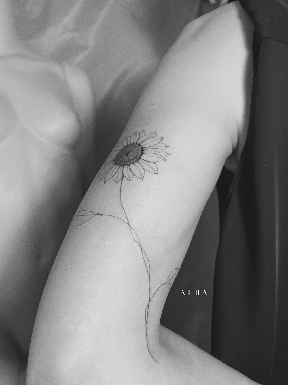 Alba Buscemi — work 8