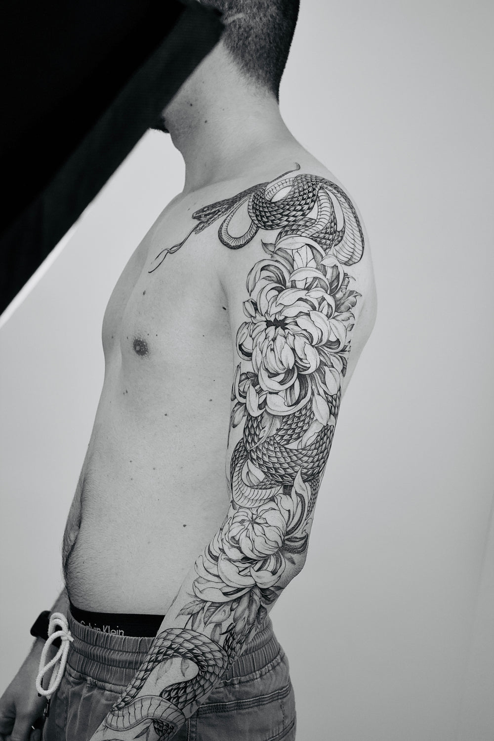 David Arato — work 6