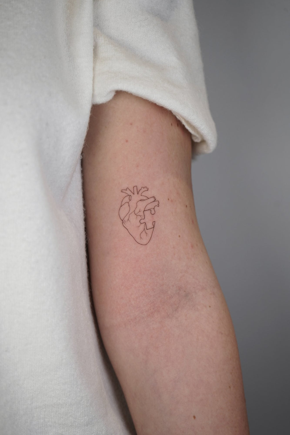 PICCIINK — work 12