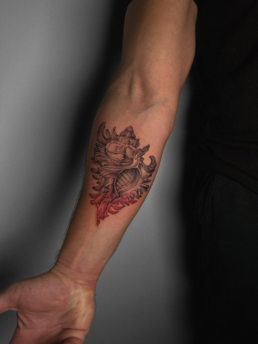 Jonny Casamenti — work 3