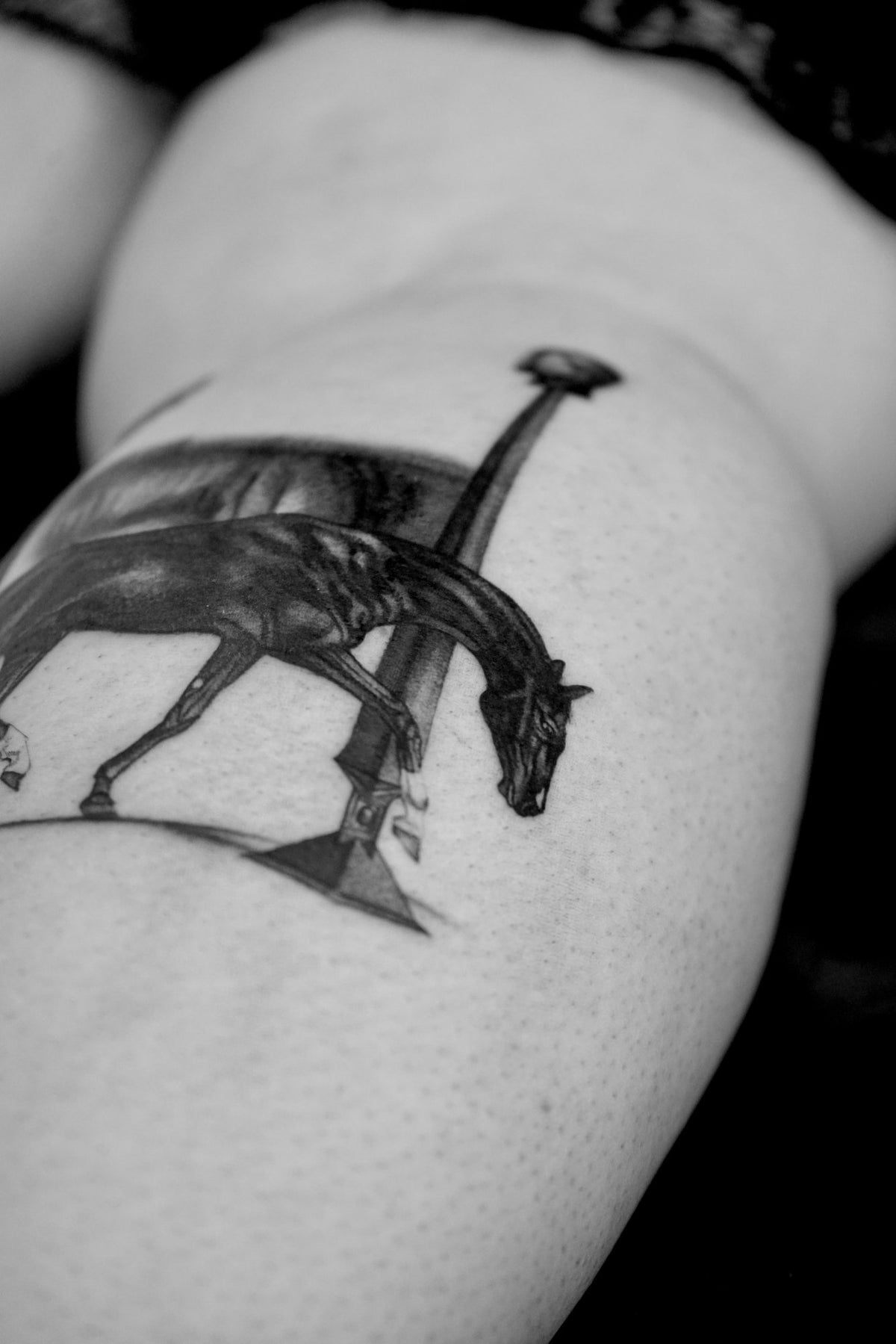 Tatuaggio Microrealism di Matteo Ciampi, The White Whale Tattoo Society