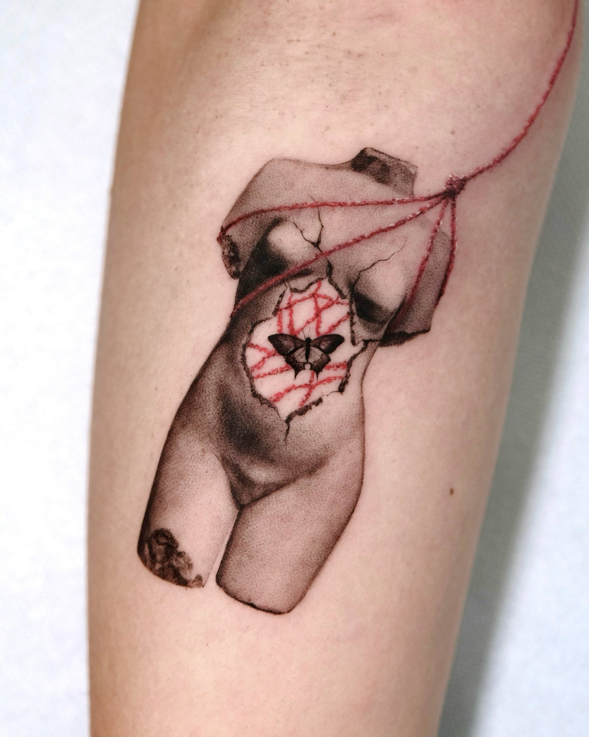 Tatuaggio Microrealism di Verdiana, The White Whale Tattoo Society